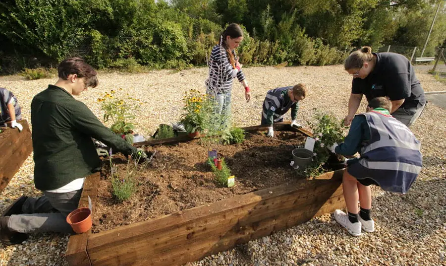 Young people add plants to a planter