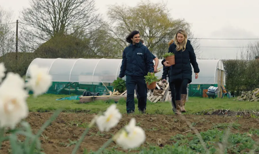 Two people walking in a garden carrying plants