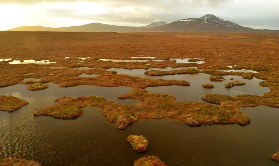 An elevated landscape view looking across boggy peatland towards distant snow-capped Scottish mountains.