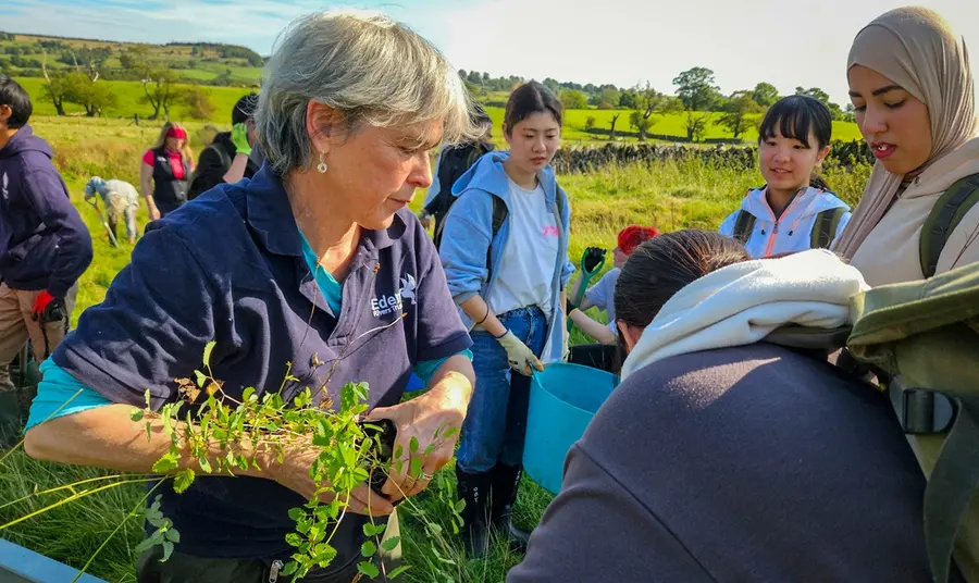A group of women organise planting of new shrubs in an open wetland environment.