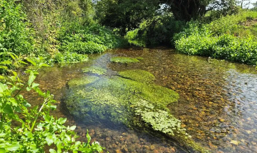 A wide, shallow river in Herefordshire borded by green vegetation and woodland