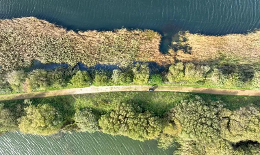 Aerial view of an accessible path along a coastal wetland landscape. Either side of the path are trees and vegetation, with blue water beyond