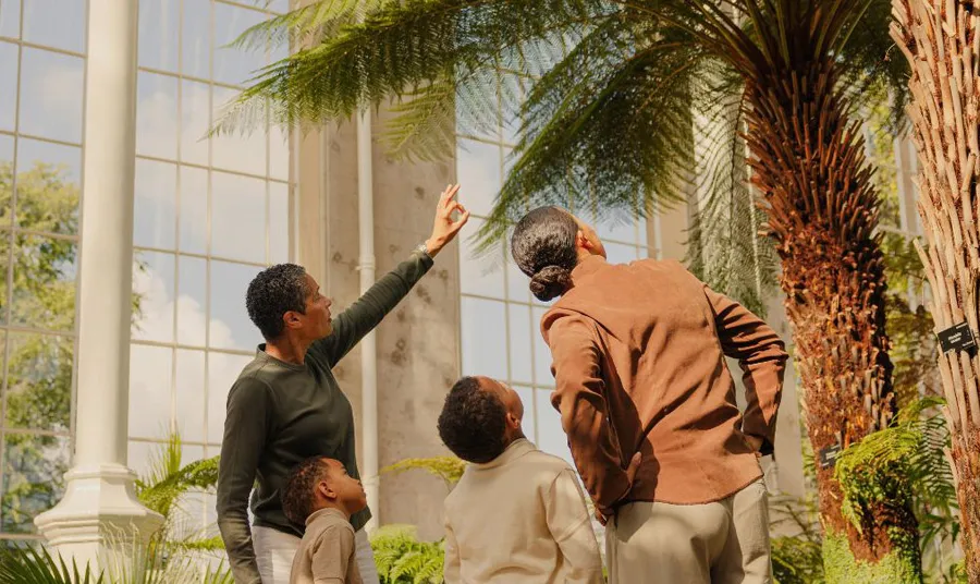 Visitors inside the Palm Houses look up at the plants