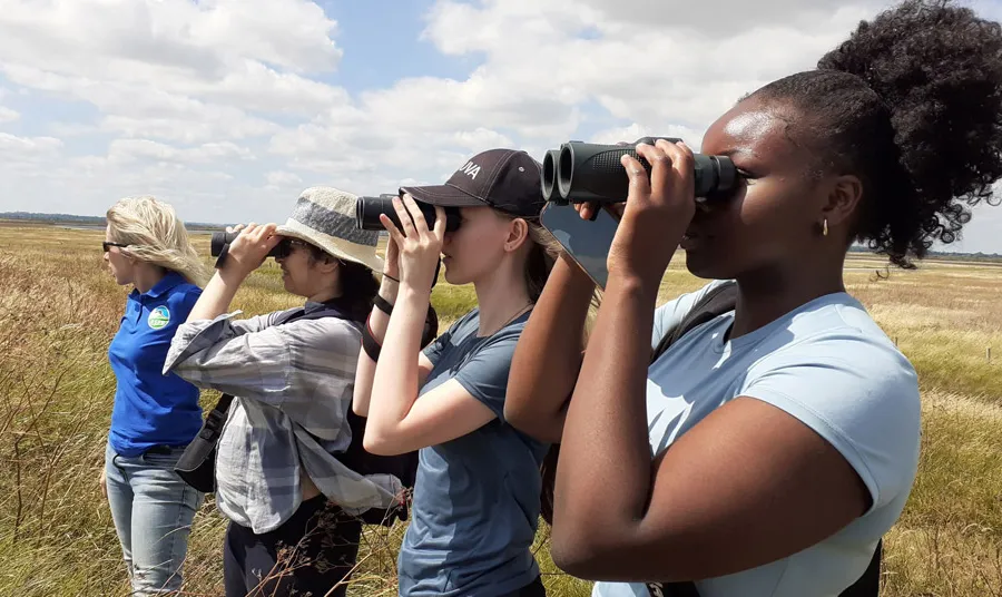 Four people stand in a nature reserve of tall grasses, some look through binoculars spotting wildlife