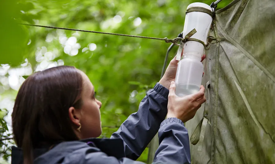 A person looks at nature monitoring device