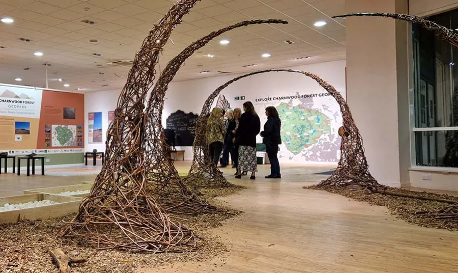 A display of woven branches to look like trees in a large modern room. In the background people look at an exhibition with information about Charnwood Forest.