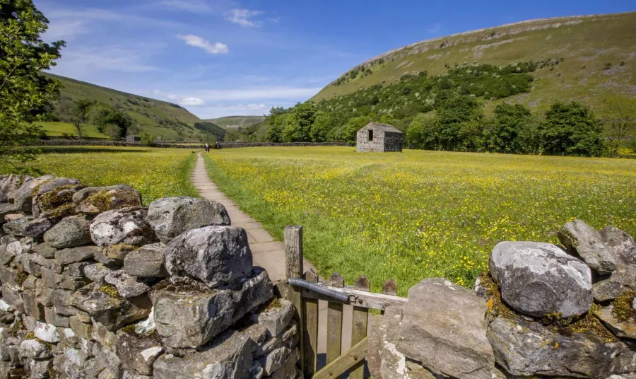 a gate in a dry stone wall leads to an open meadow with hills in the background