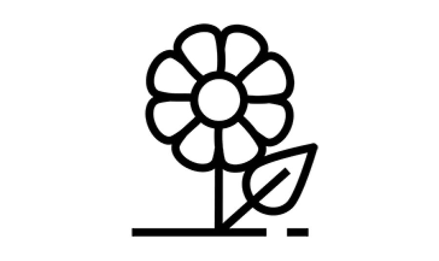 A line drawing of a flower