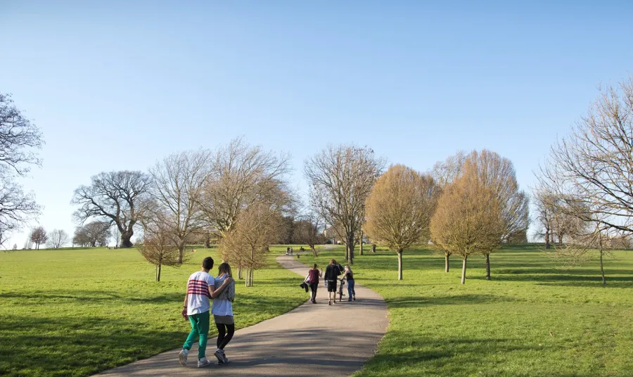 People enjoying a park on a sunny day
