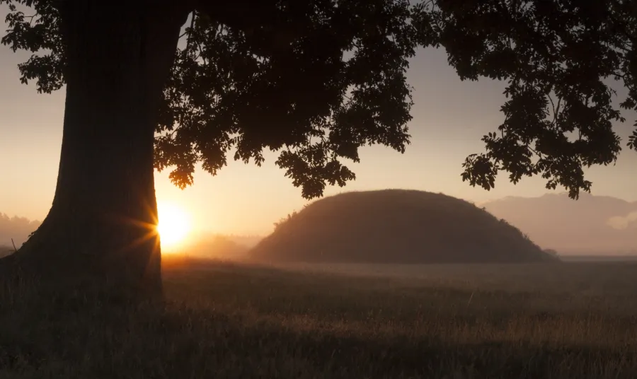 The mounds at Sutton Hoo