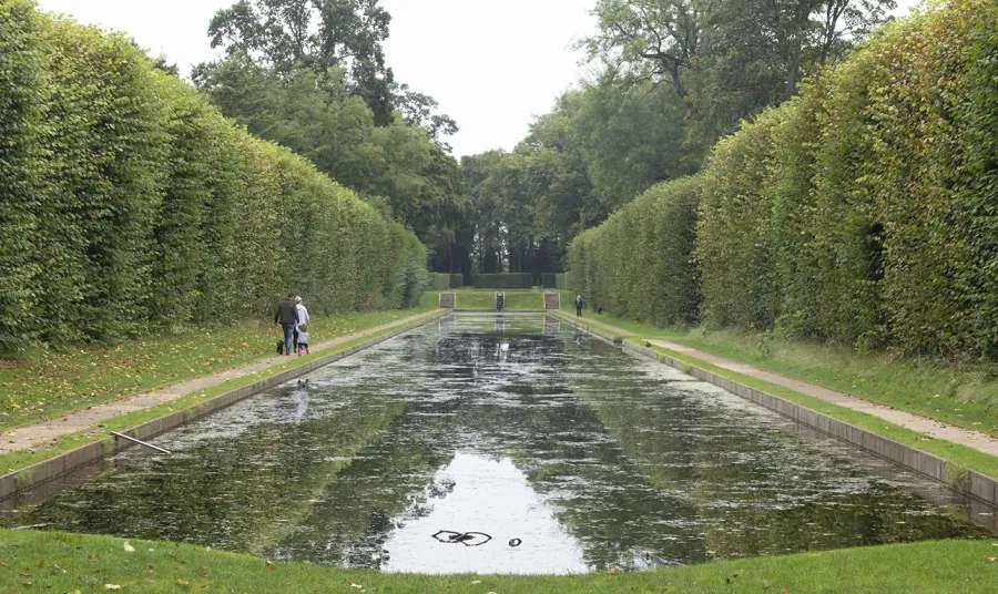 Large pond surrounded by hedges