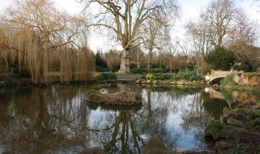 The pond at Cedar Park