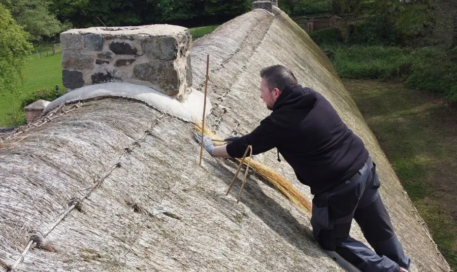 A thatcher at work up a ladder on a thatched roof, applying new materials to the surface.