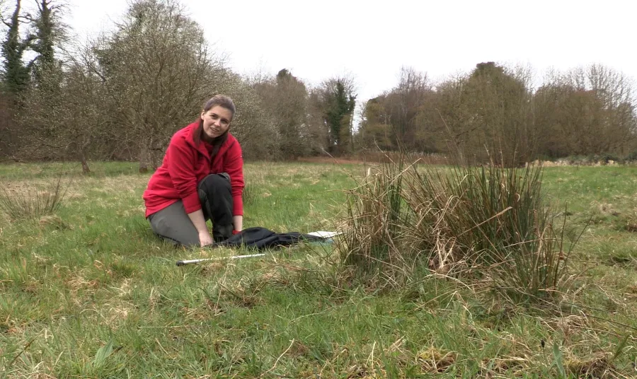 Woman working in a field