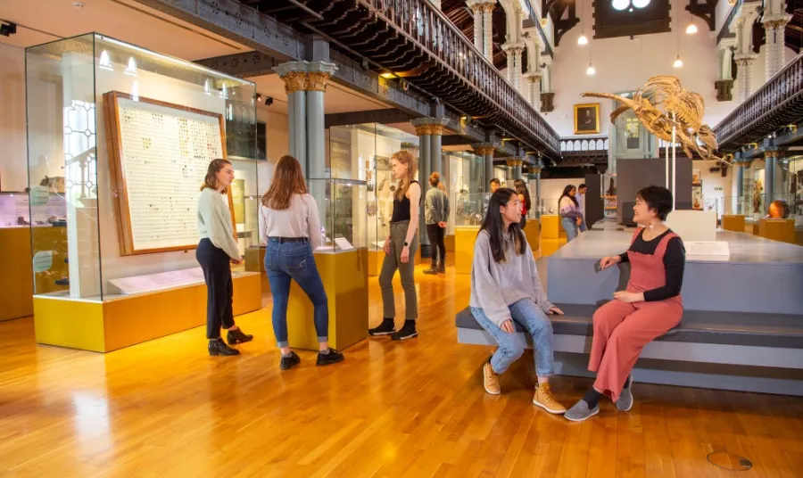A suspended skeleton of a sea dinosaur hangs in the centre of a museum gallery. A number of people are chatting and looking at exhibits