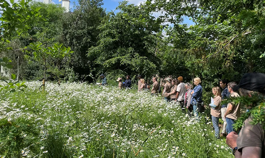 People engaging with nature