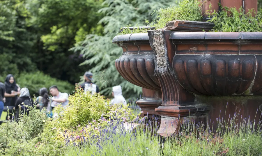 Mawson fountain in Hanley Park