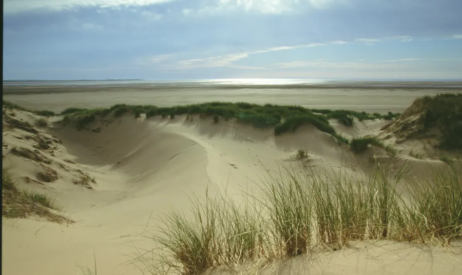 A habitat for wildlife: sand dunes on the coast of Cumbria