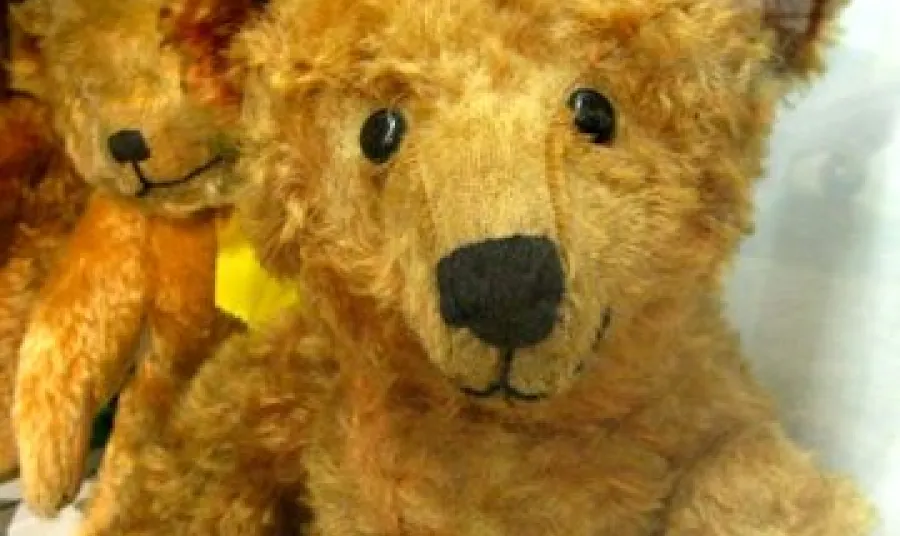 Lottery grant success for Brighton Toy and Model Museum