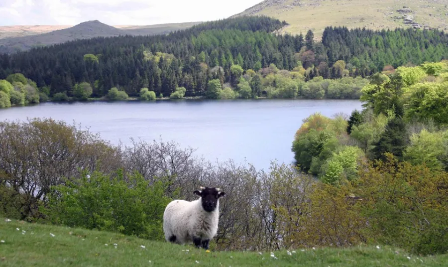 Burrator Reservoir