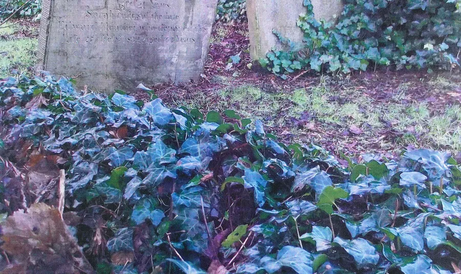 Historic gravestones at Clifton Street Cemetery, Belfast
