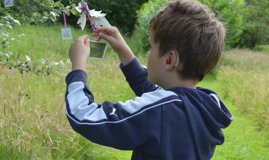 A participant in the project