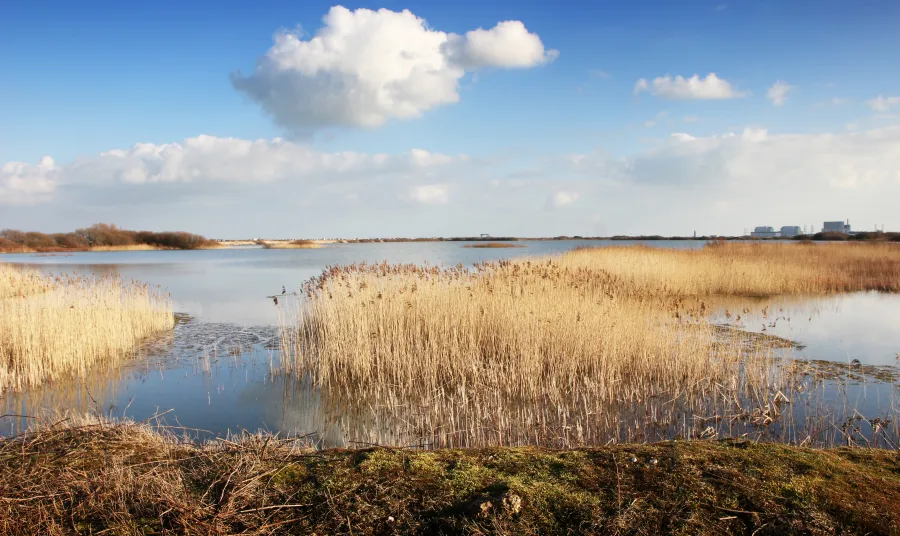 A view of Dungeness, on the South Kent coast