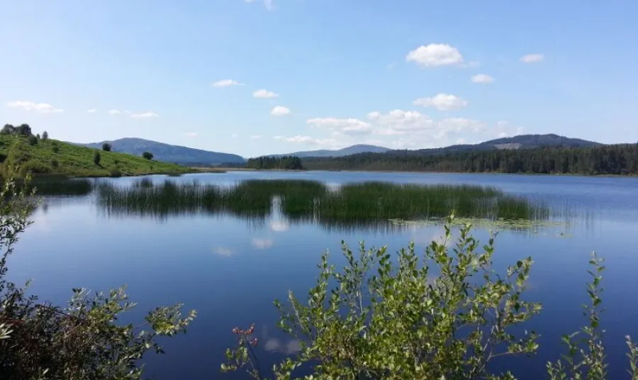 Loch Stroan, Dumfries and Galloway 