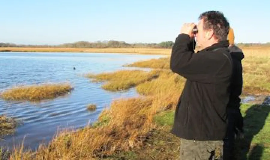 Birdwatching at Upton Heath
