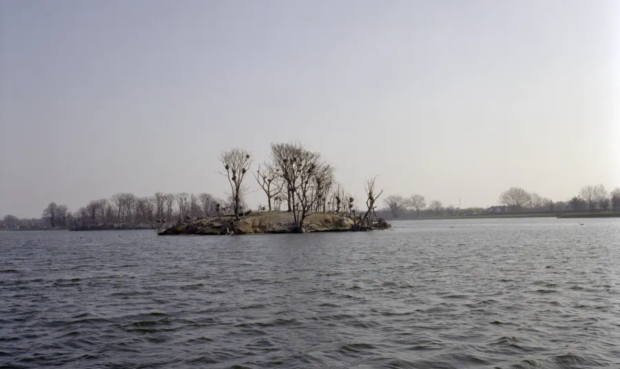 View of Walthamstow Reservoirs