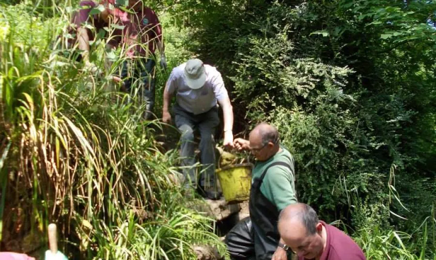 Volunteers help to clean the springs at Ninesprings