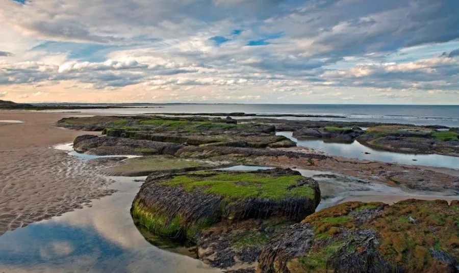 Rocky shore on Druridge Bay