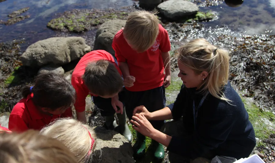 Rockpooling on the beach where Mary Anning made her discoveries
