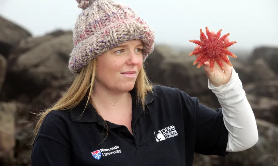 Dr Heather Sugden and Common Sunstar starfish on Cullercoats beach