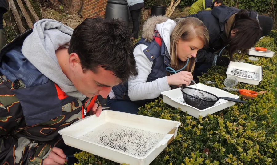 BioLinks soil mesofauna course 