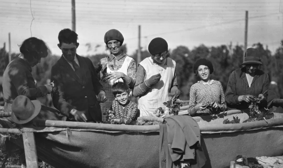 1930s hop pickers