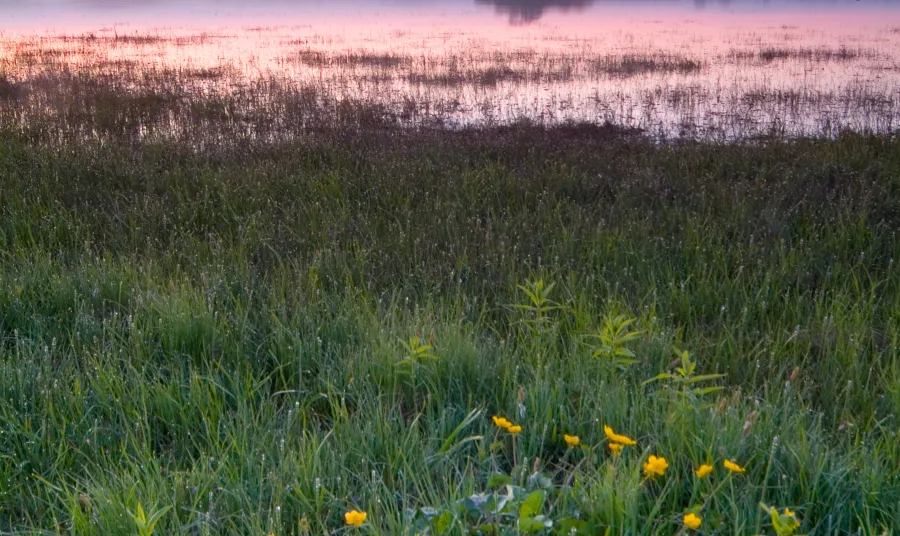 Lough Neagh at dusk