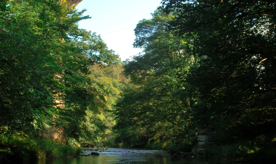 Derwent Valley's Nine Arches is one of the sites the project will focus on