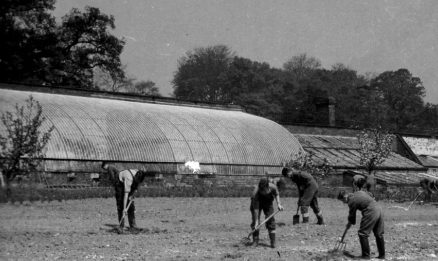 Curvilinear gasshouse in Millichope Park 