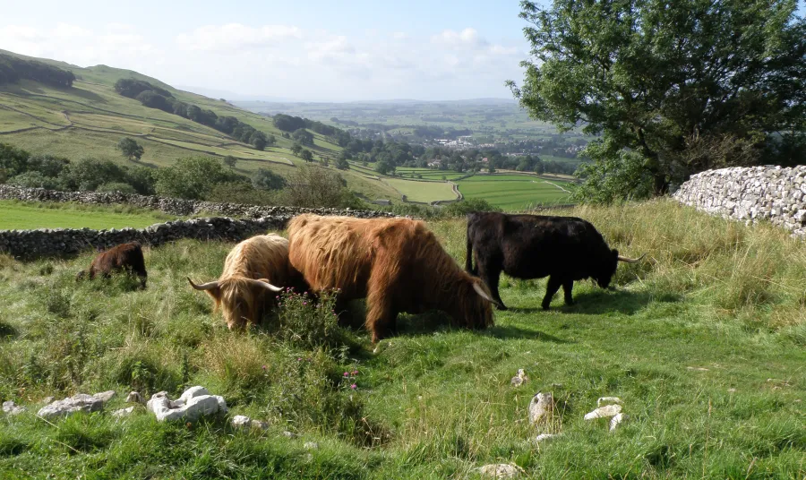 The Yorkshire Dales hide some incredible cave systems