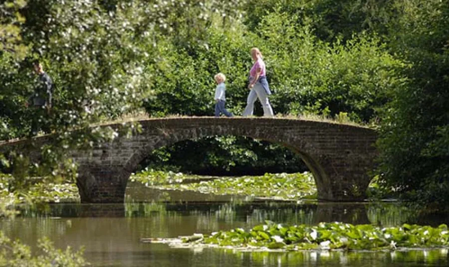 Visitors enjoying Staunton Country Park