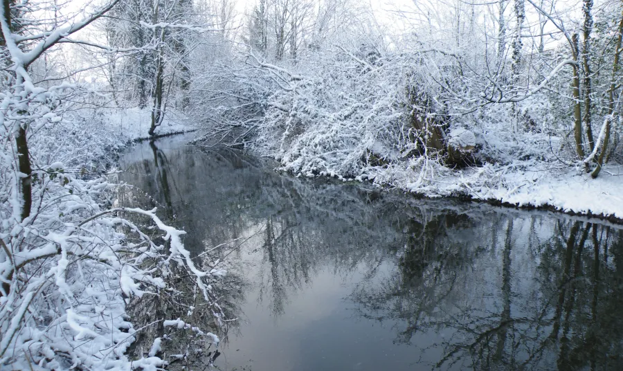 Hampshire's River Itchen