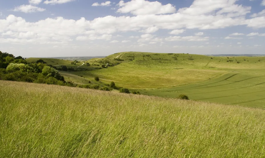 The view from in Ivinghoe Beacon in Hertfordshire