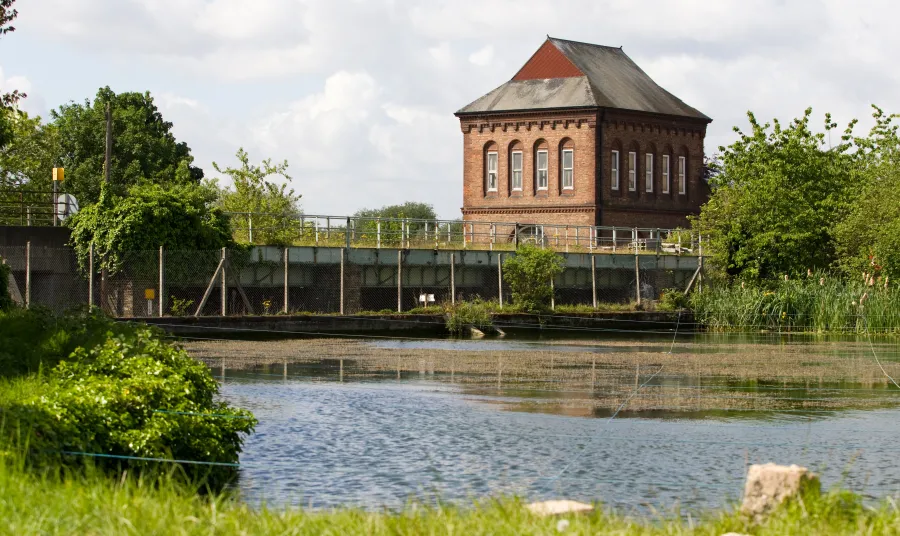 A view of part of the Walthamstow Wetlands