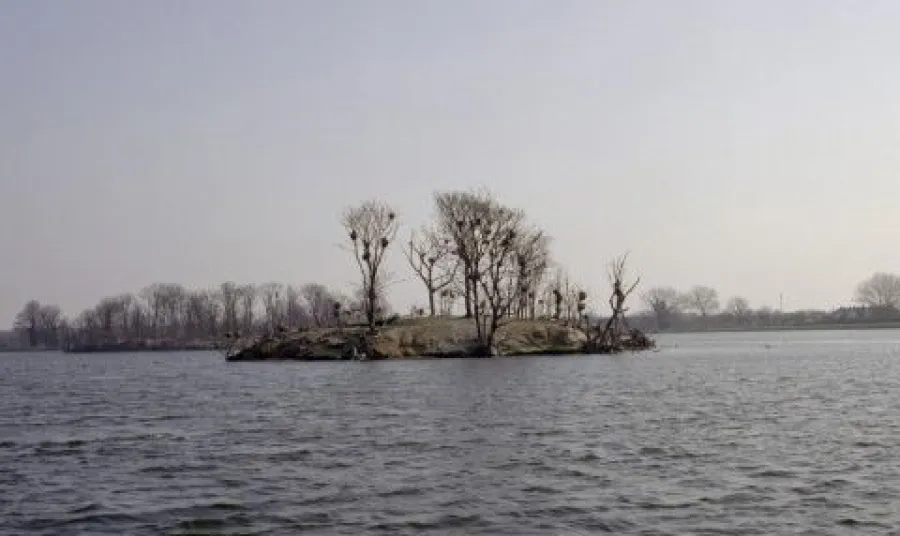 The Walthamstow Reservoirs site in North East London