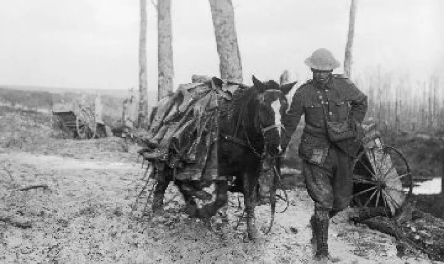 A pack horse loaded with rubber trench boots (waders) is led through the mud near Beaumont Hamel on the Somme battlefield