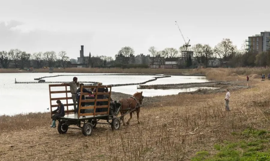 Horse and cart at Woodberry Wetlands