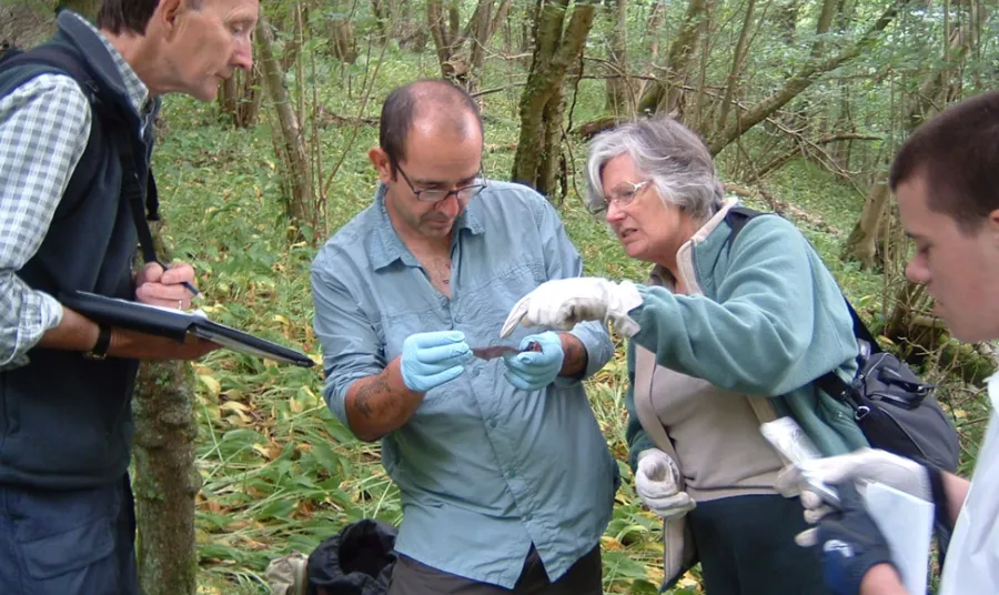 Three or four adults outdoors examining material relating to bats