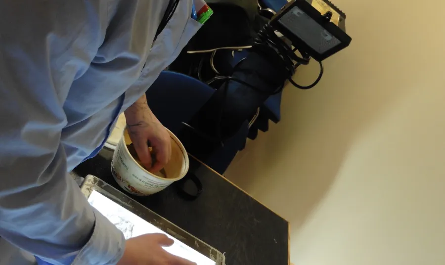 A young person creating an anima