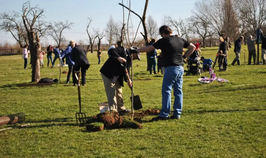 Kent's Orchards for Everyone